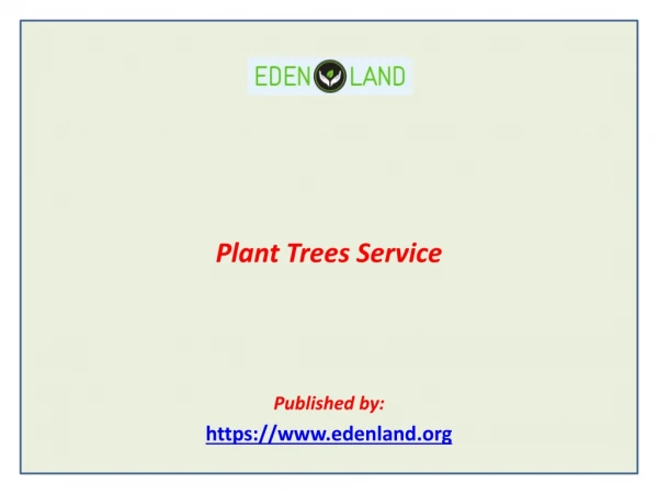 Plant Trees Service