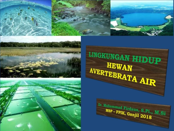 lingkungan hidup hewan avertebrata air