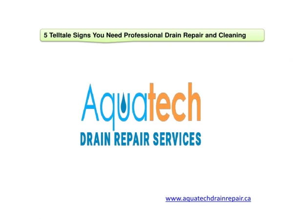 5 Telltale Signs You Need Professional Drain Repair and Cleaning