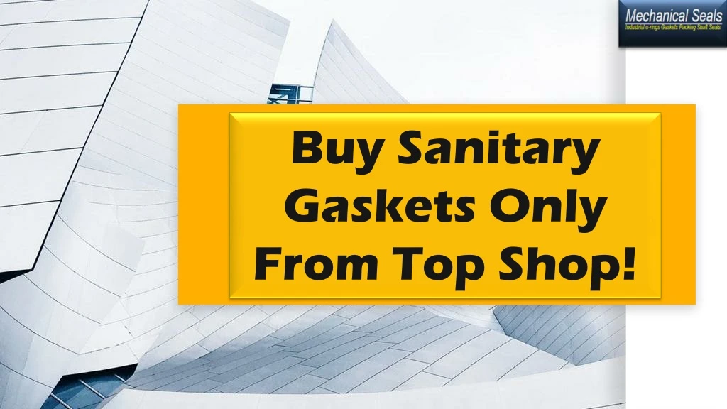 buy sanitary gaskets only from top shop