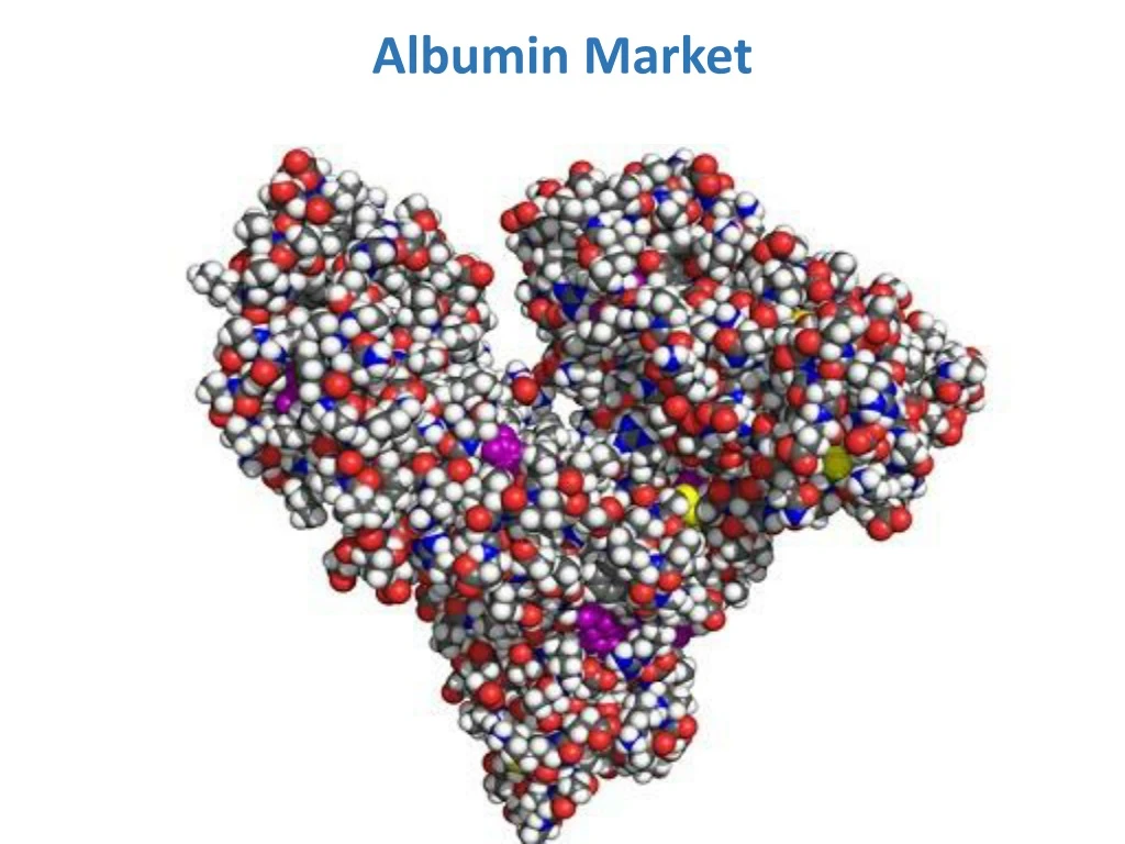 albumin market