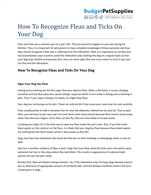 How To Recognize Fleas and Ticks On Your Dog- BudgetPetSupplies