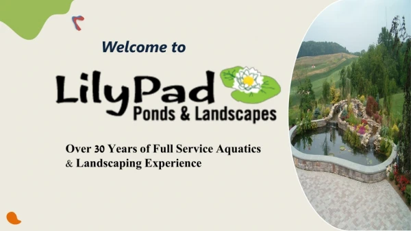 Important Tips for Koi Pond Maintenance Services