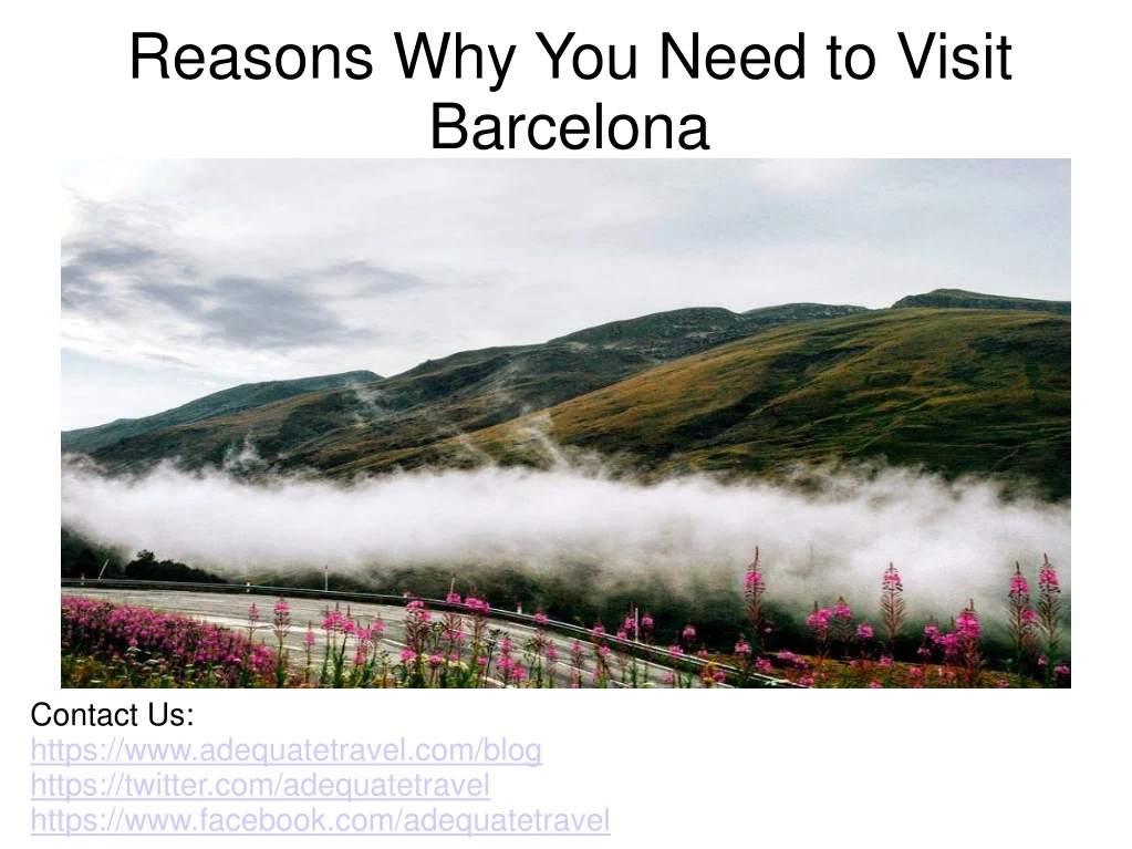 reasons why you need to visit barcelona