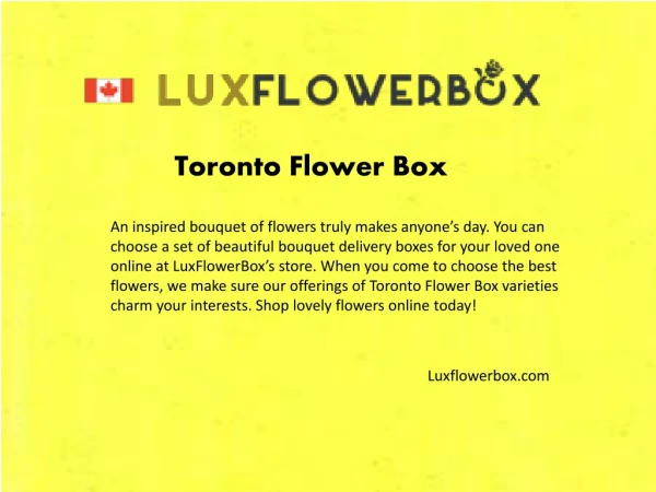 Luxflowerbox.com - Toronto flower box