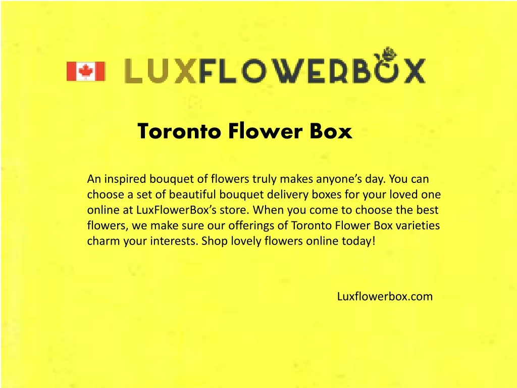 toronto flower box