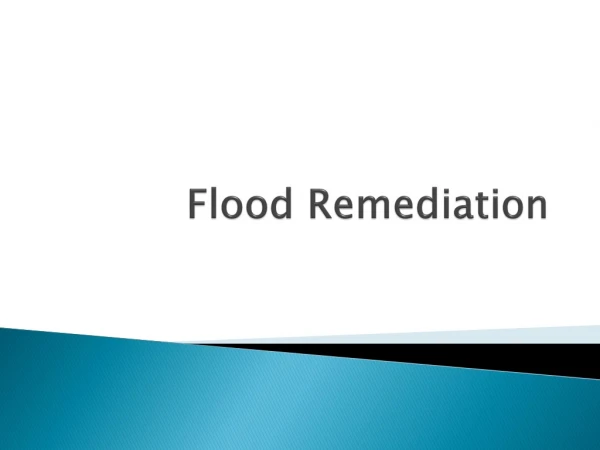 Flood Remeditation