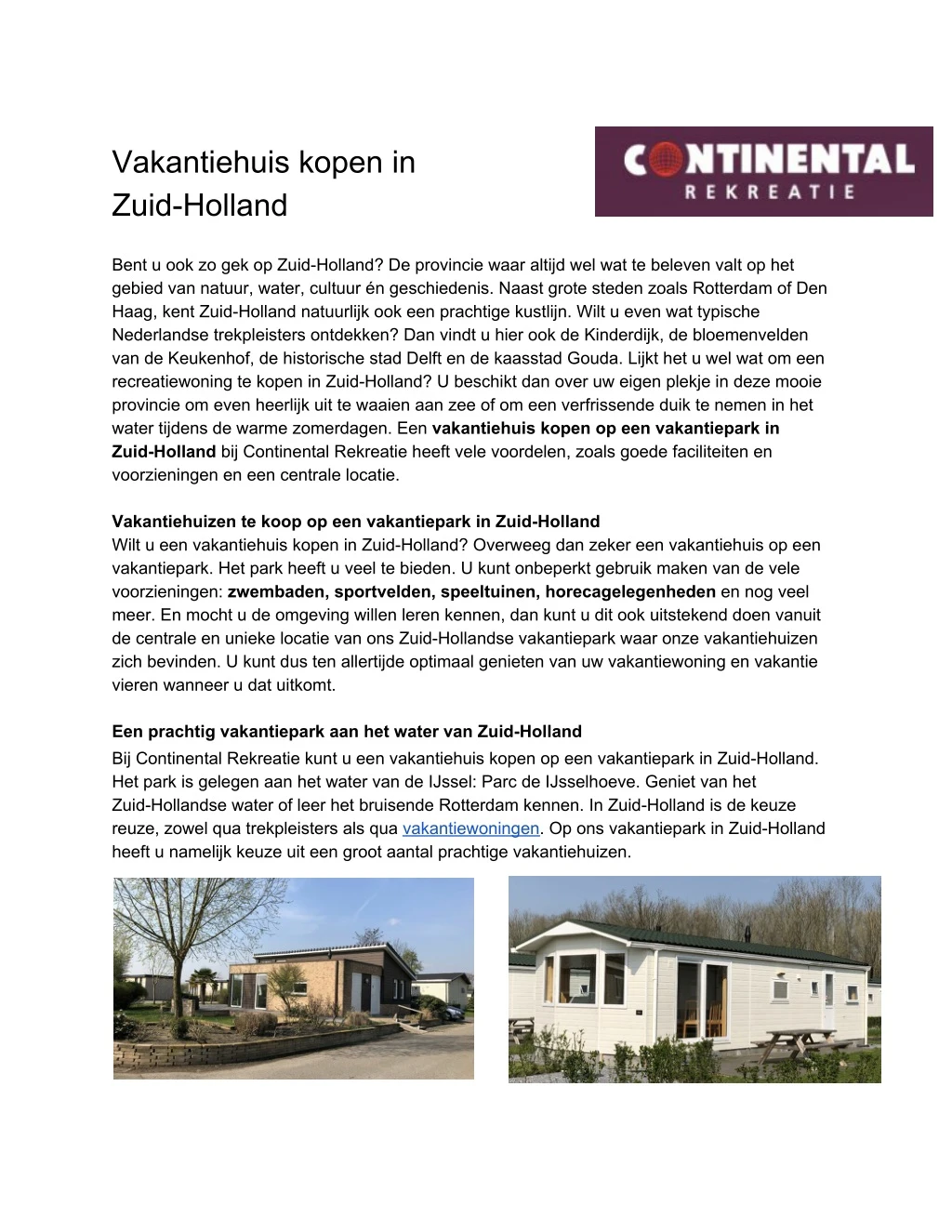 vakantiehuis kopen in zuid holland