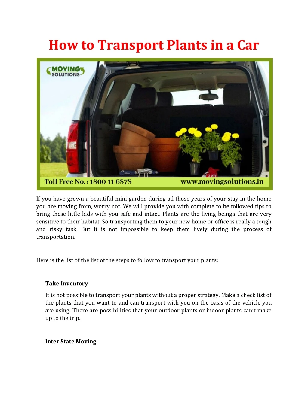 how to transport plants in a car
