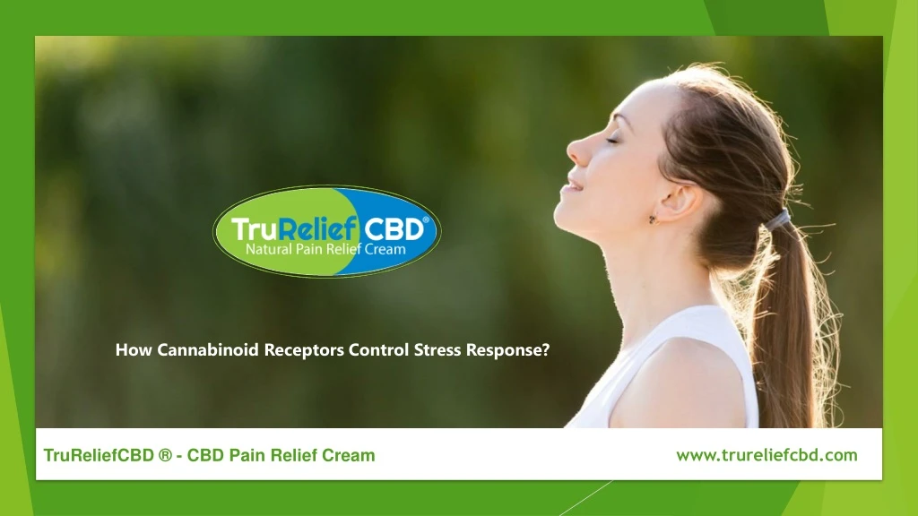how cannabinoid receptors control stress response