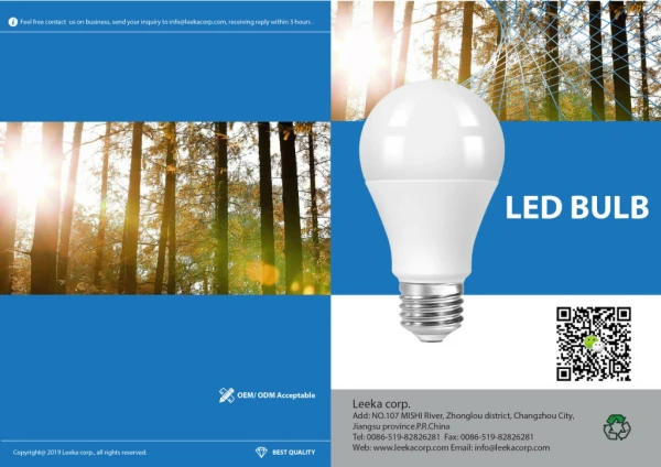 LEEKA LED BULB E-CATALOGUE (2019)