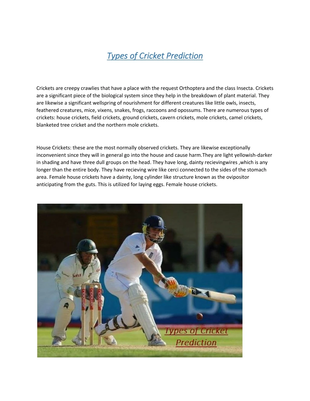 types of cricket prediction types of cricket