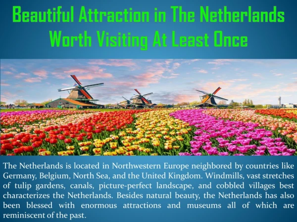 Beautiful Attraction in The Netherlands Worth Visiting At Least Once