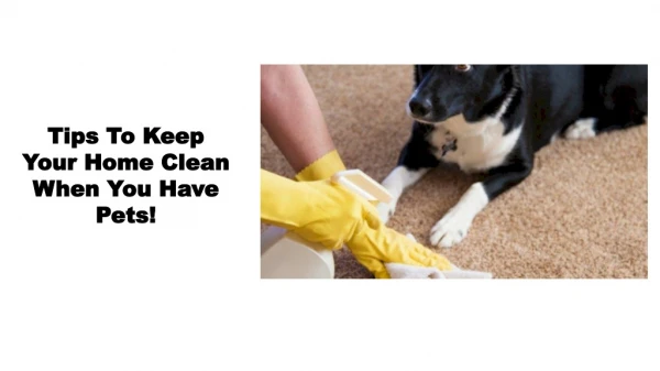 Tips To Keep Your Home Clean When You Have Pets!