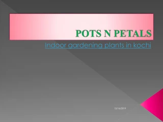 indoor gardening plants in kochi - slide 1