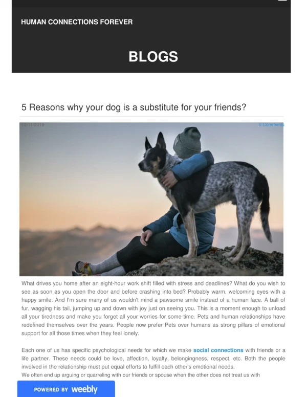 5 Reasons why your dog is a substitute for your friends?