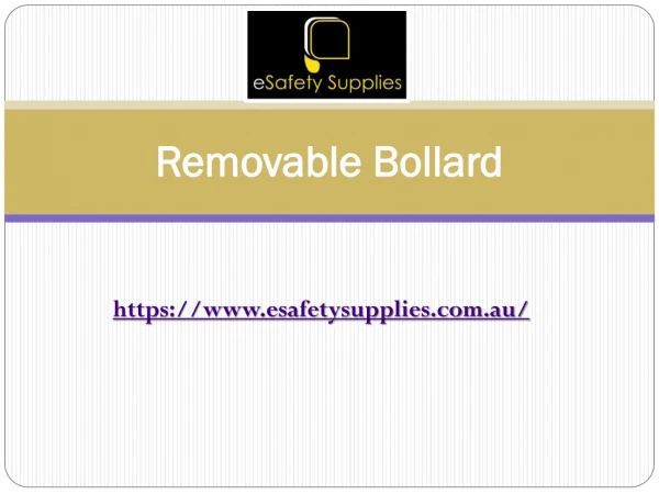 Buy Removable Bollard Sleeve Lock