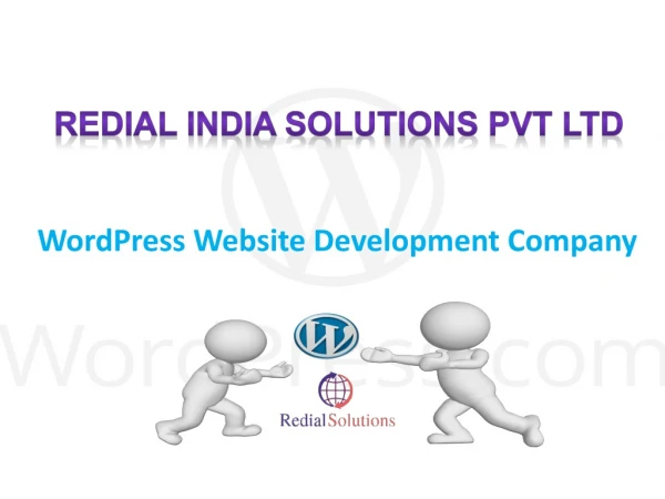 redial india solutions pvt ltd
