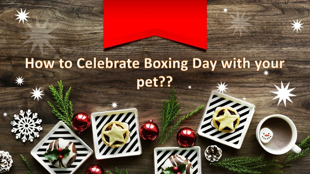 how to celebrate boxing day with your pet