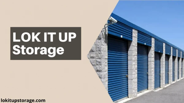 lok it up storage
