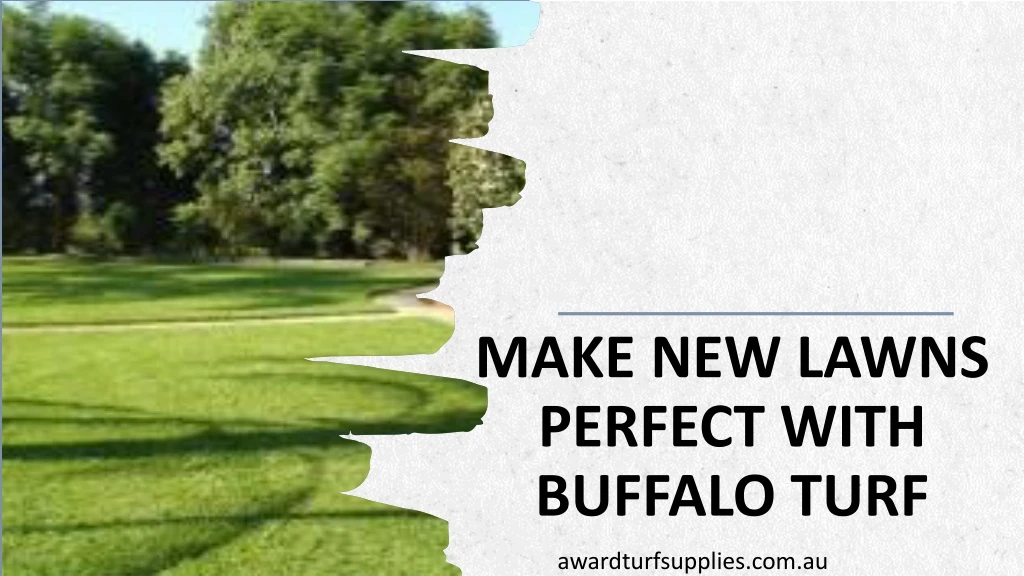 make new lawns perfect with buffalo turf
