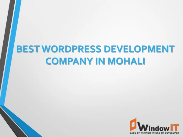 Best Wordpress Development Company in Chandigarh
