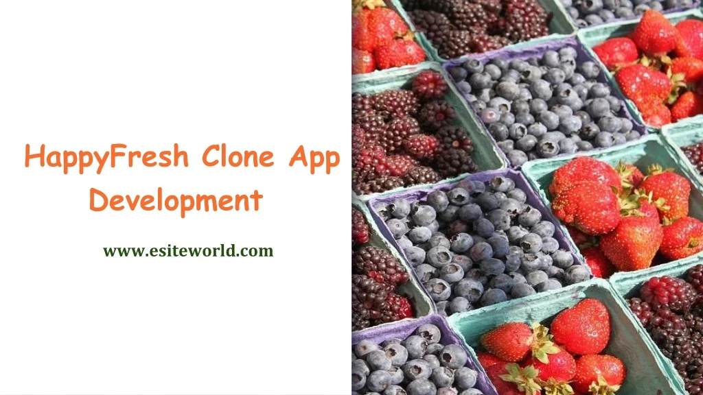 happyfresh clone app development