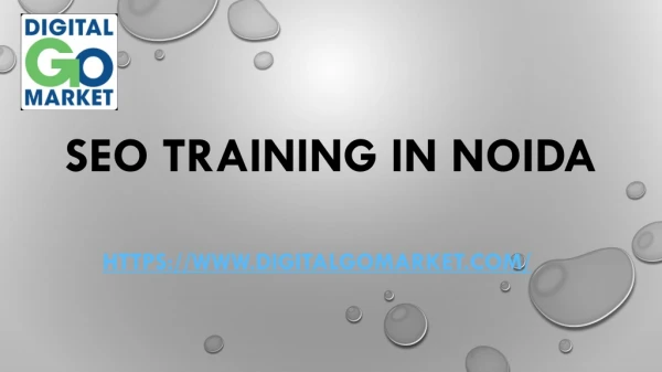 seo training in noida