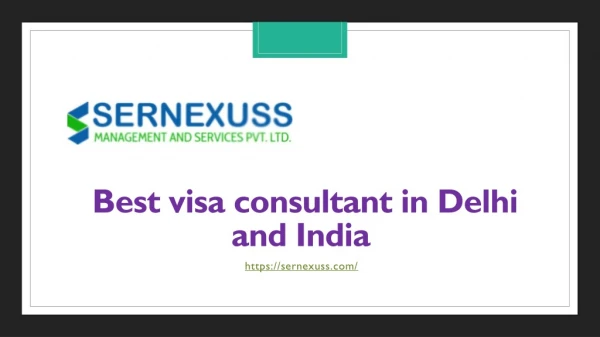 best visa consultant in delhi and india