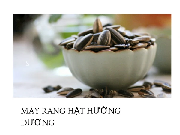 may rang hat huong duong