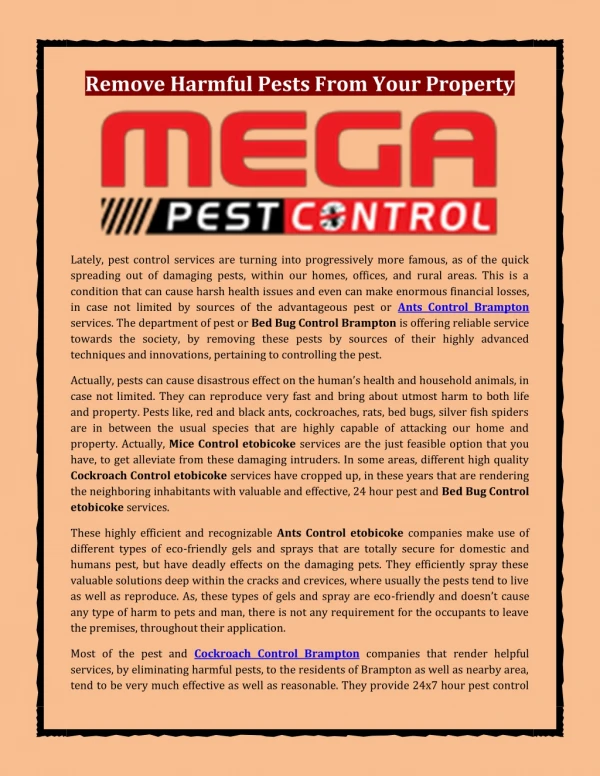 Remove Harmful Pests From Your Property