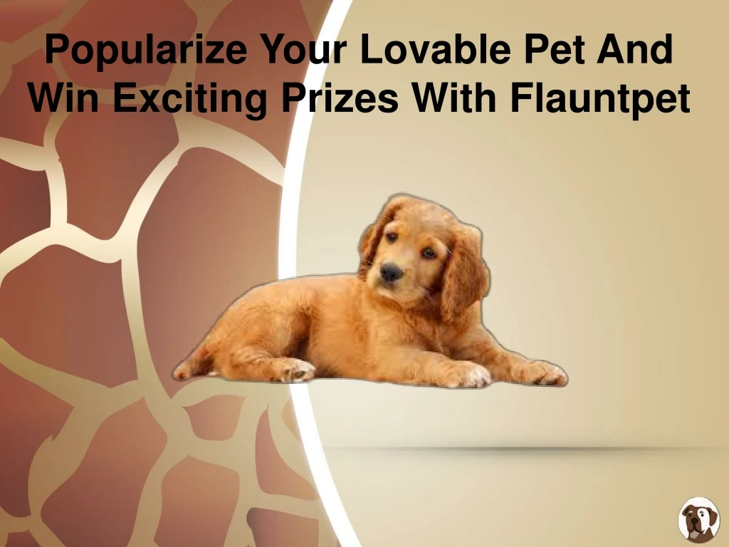 popularize your lovable pet and win exciting prizes with flauntpet