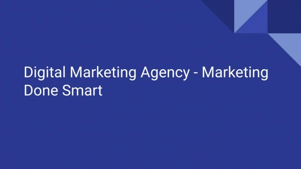 Digital Marketing Agency PDF