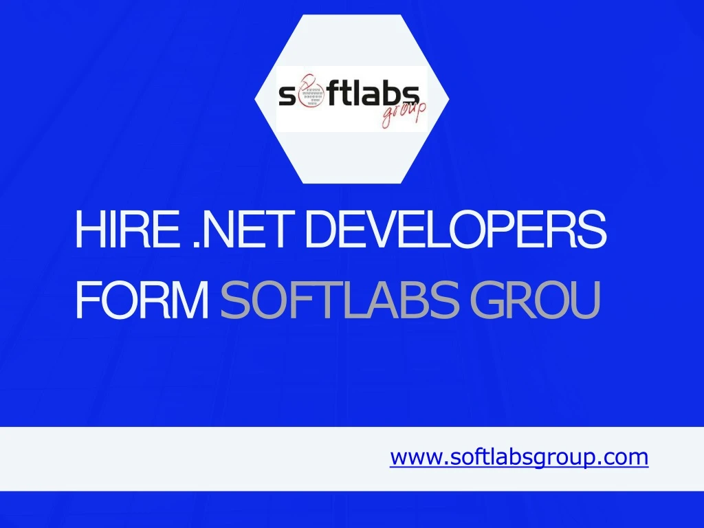 hire net developers form softlabs grou