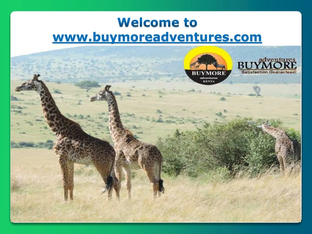 welcome to www buymoreadventures com