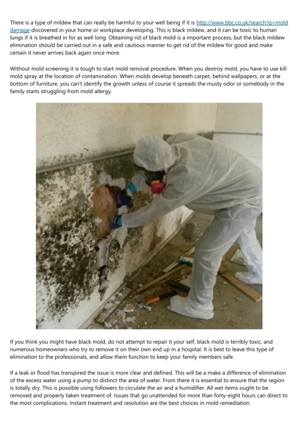 7 Simple Secrets to Totally Rocking Your mold removal companies near me