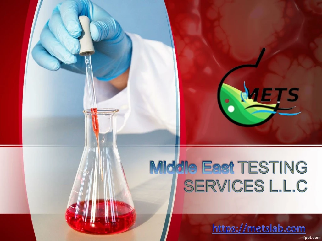 middle east testing services l l c