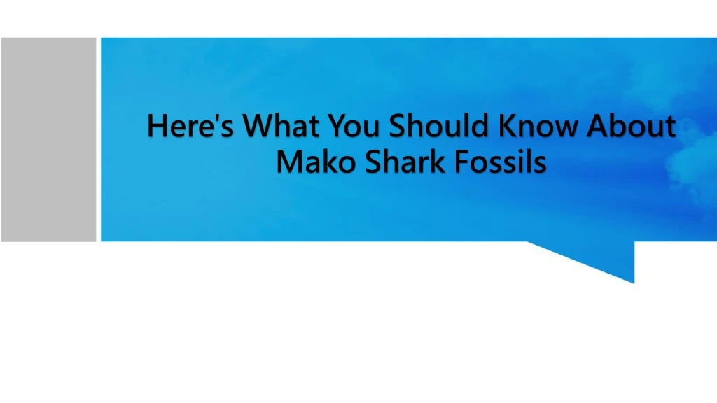 here s what you should know about mako shark fossils