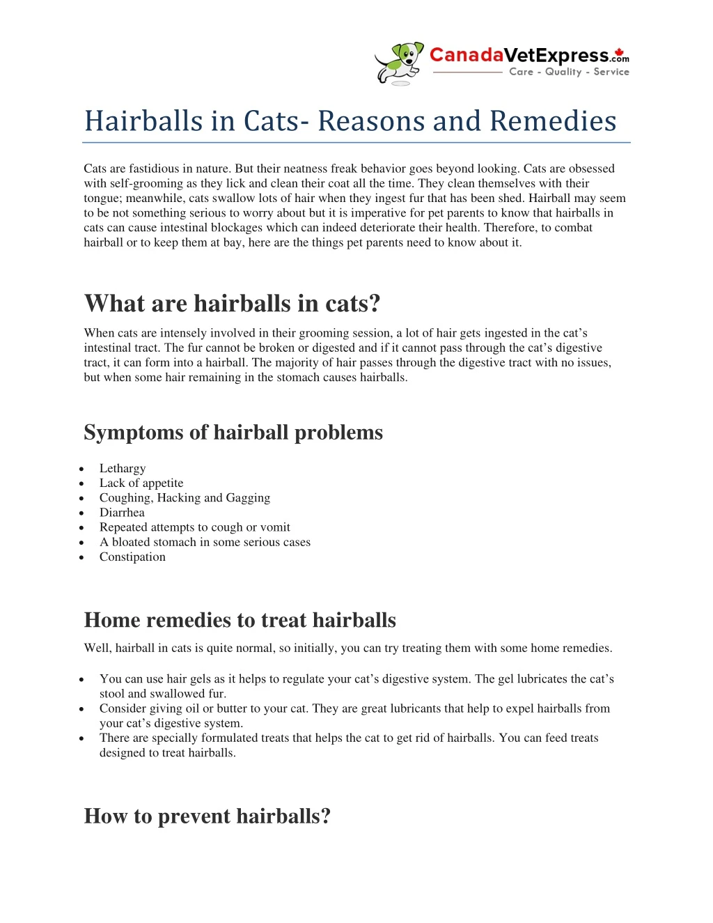 hairballs in cats reasons and remedies