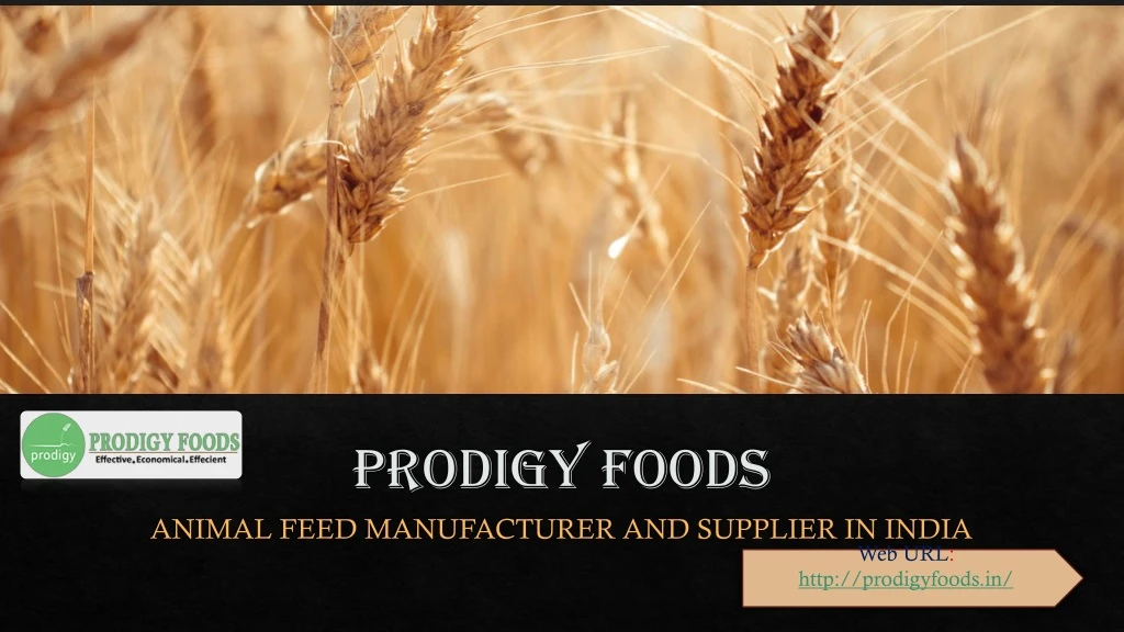 prodigy foods