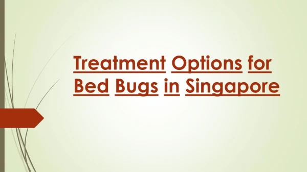 Bed Bug Service in Singapore