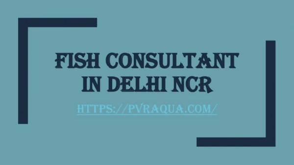 fish consultant in delhi ncr
