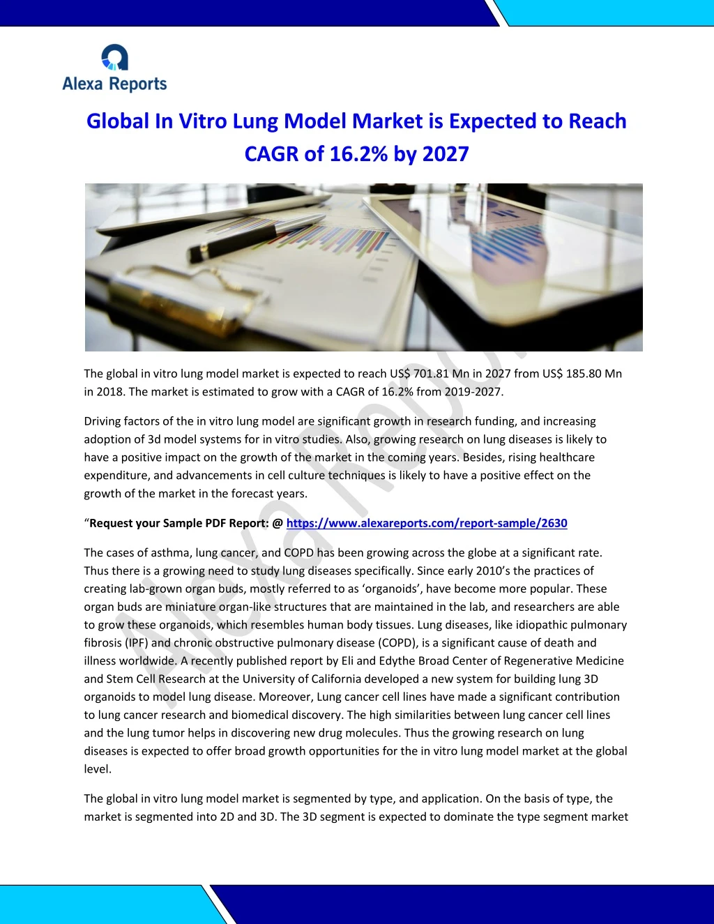 global in vitro lung model market is expected