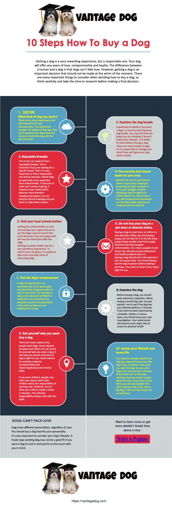 10 Steps How To Buy a Dog [Infogrphic]