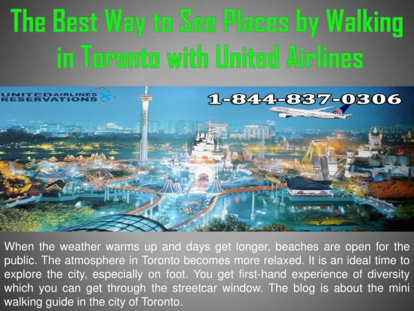 The Best Way to See Places by Walking in Toronto with United Airlines