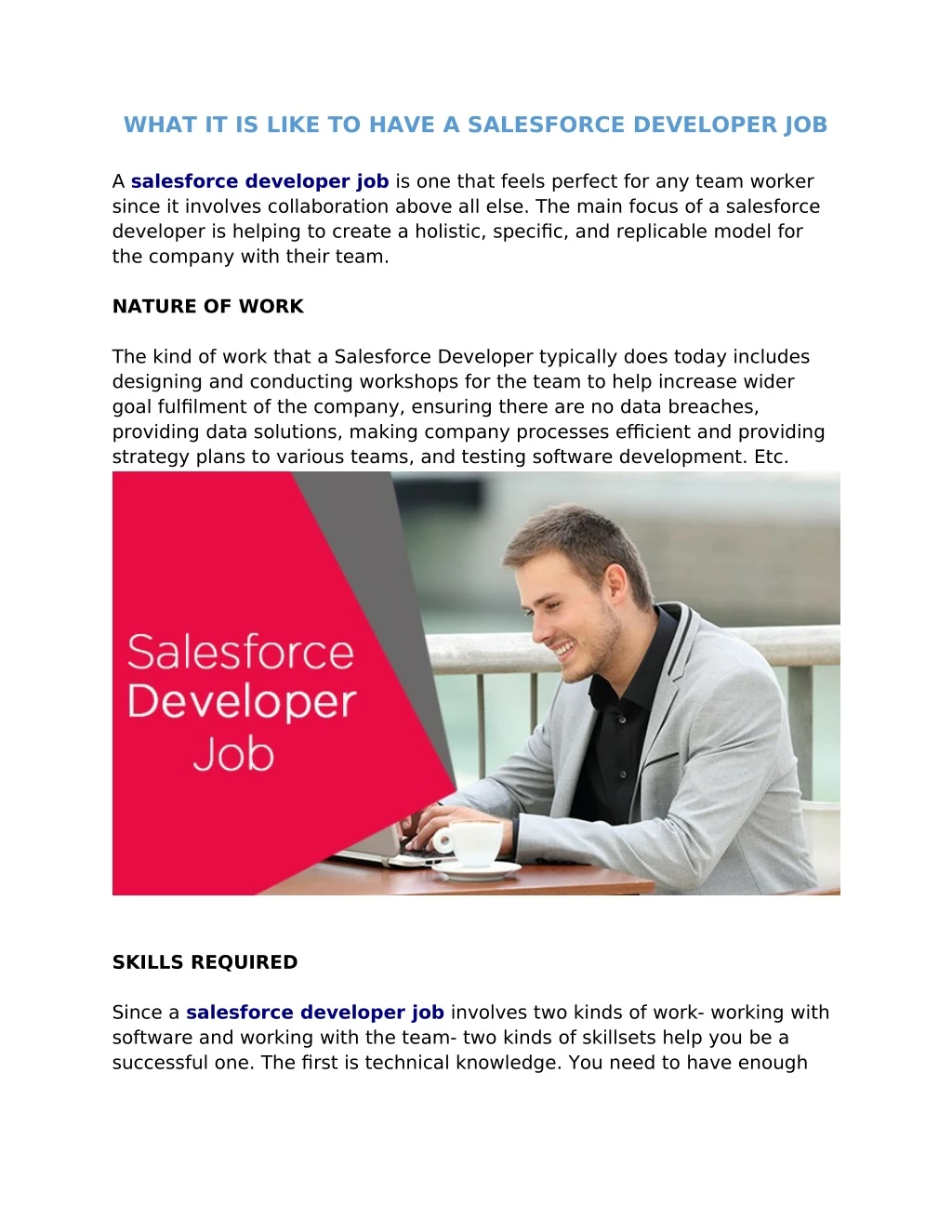 what it is like to have a salesforce developer job