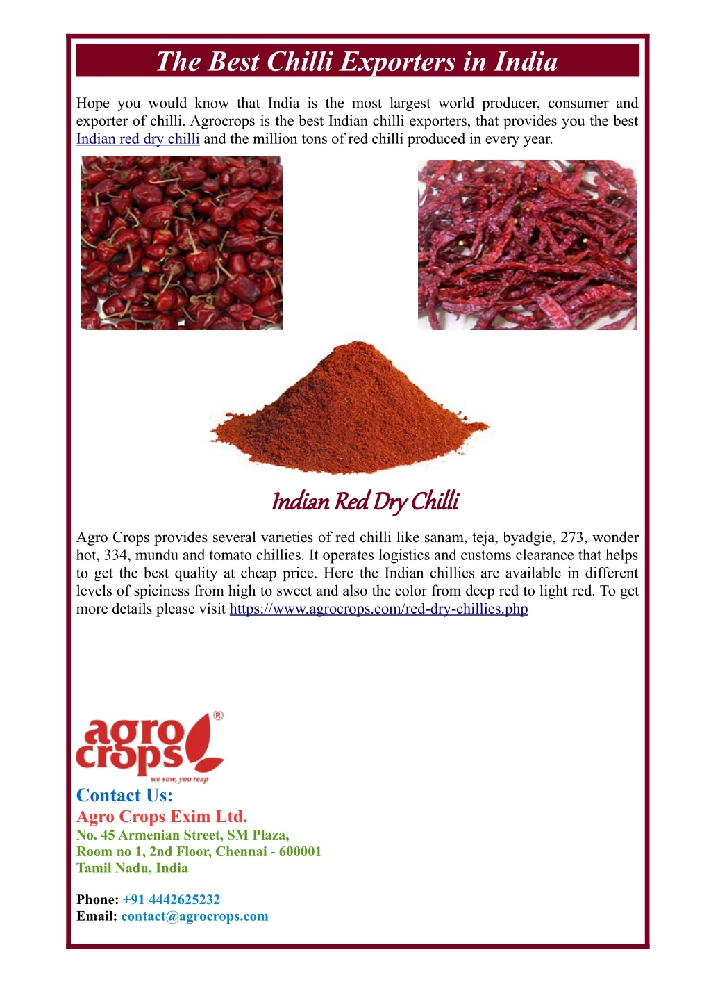 the best chilli exporters in india