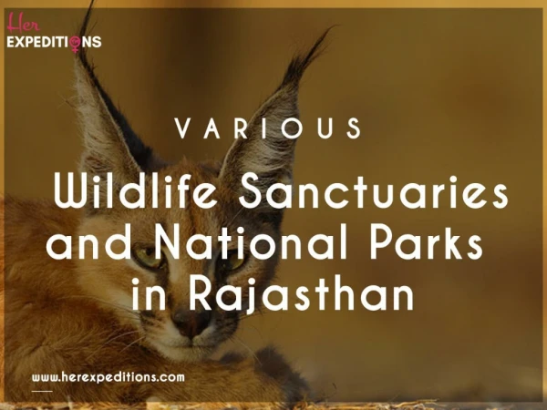 Various Wildlife Sanctuaries And National Parks in Rajasthan