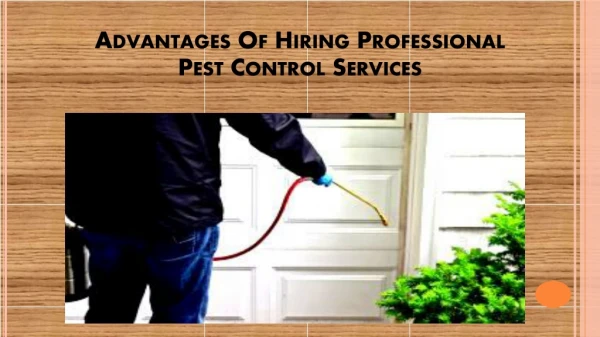 advantages of hiring professional pest control services