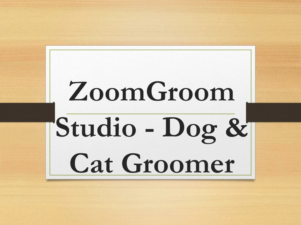 zoomgroom studio dog cat groomer